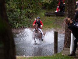 IMG_8384_web